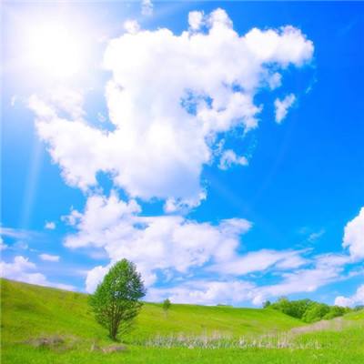 网易彩票最新版下载app截图