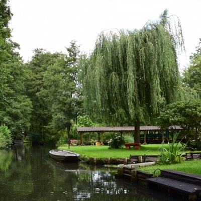 49图库资料免费大全资料澳门app下载截图