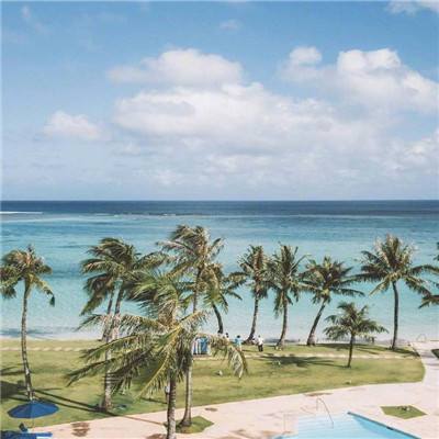 乐鱼app登录入口手机app下载