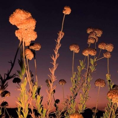 皇冠正规娱乐平台