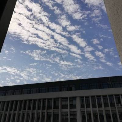 澳大利亚威斯尼斯wns888截图