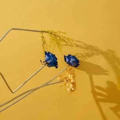 开云·体育(kaiyun)