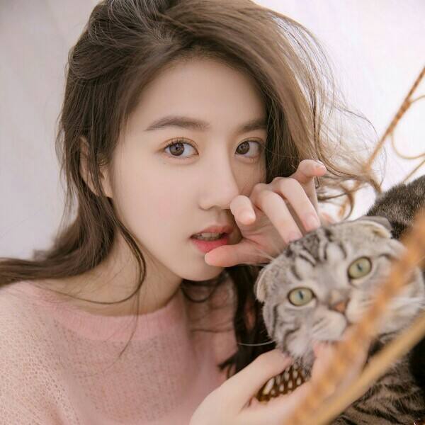 bob·体育综合app下载手机版